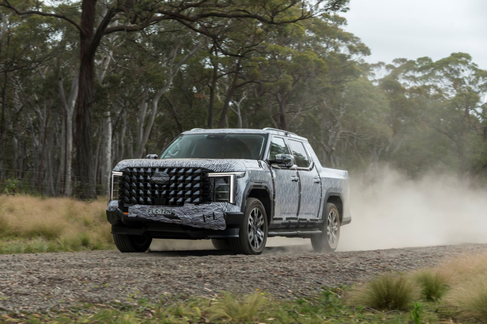 LDV testing Terron 9 ute in Australia image